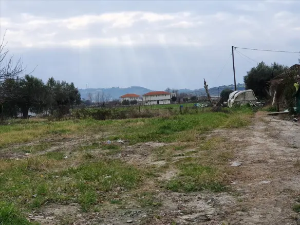 Land In Kassandra, Greece