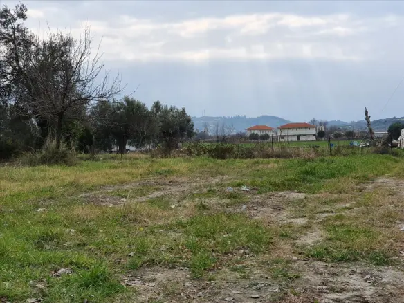 Land In Kassandra, Greece