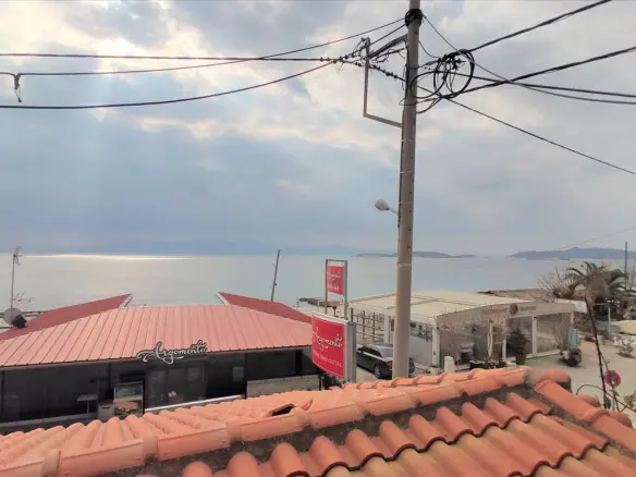 Business In Aristotle, Greece (120 M²)