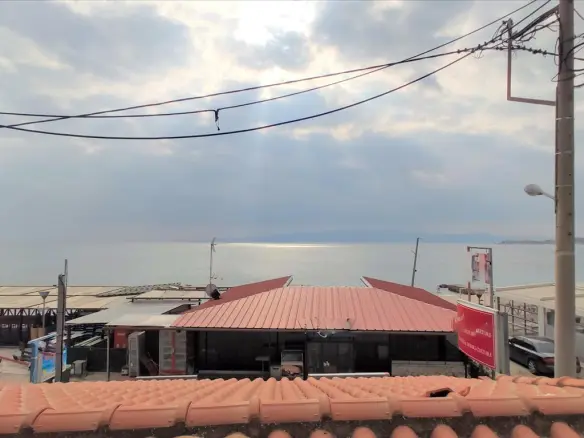 Business In Aristotle, Greece (120 M²)