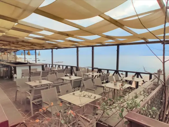 Business In Aristotle, Greece (120 M²)