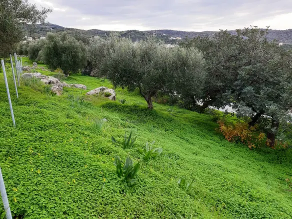 Land In Neapoli, Greece