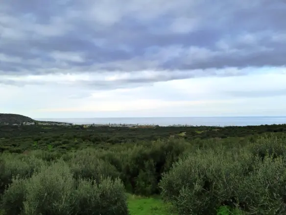 Land In Neapoli, Greece