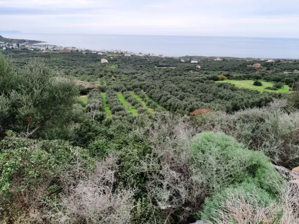 Land In Neapoli, Greece