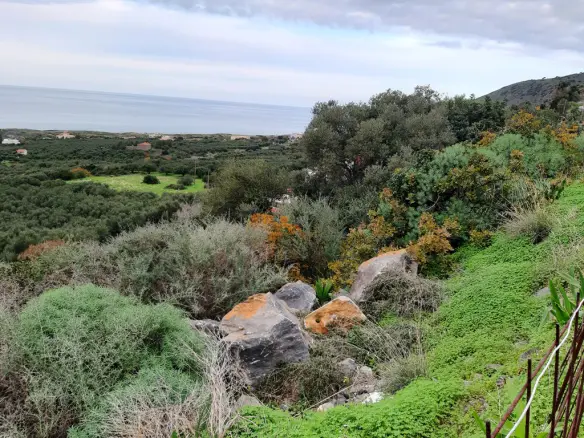 Land In Neapoli, Greece