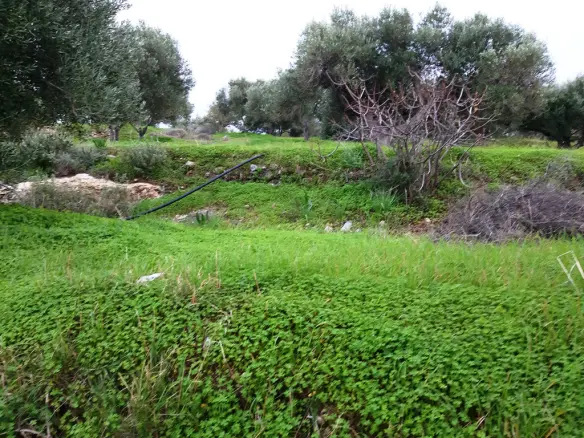 Land In Neapoli, Greece