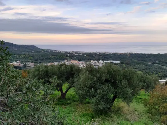 Land In Neapoli, Greece