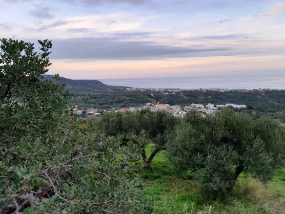 Land In Neapoli, Greece