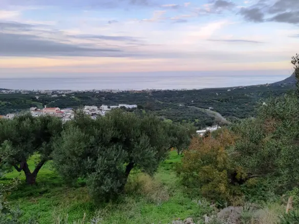 Land In Neapoli, Greece