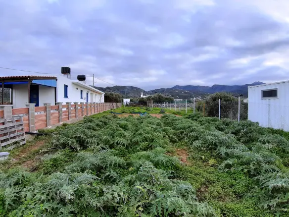 Land In Neapoli, Greece