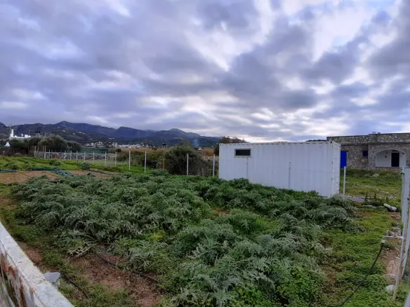 Land In Neapoli, Greece