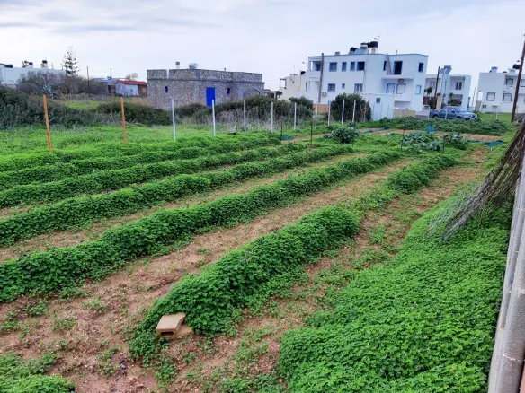 Land In Neapoli, Greece