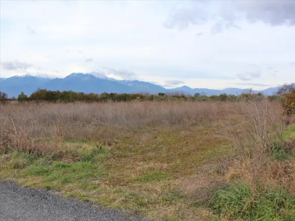 Land In Katerini, Greece