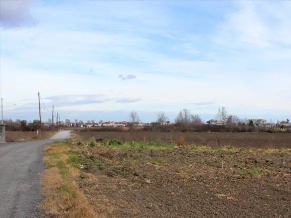 Land In Katerini, Greece