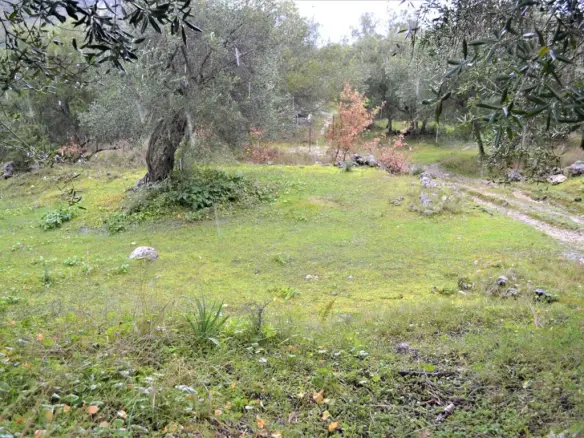 Land In Corfu, Greece