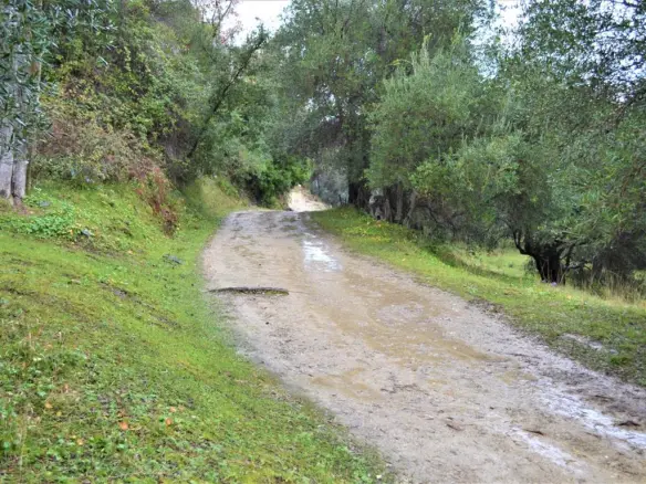 Land In Corfu, Greece