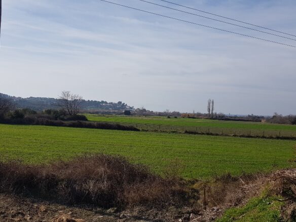 Land In Kassandra, Greece