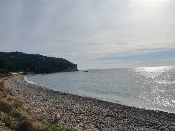 Land In Kassandra, Greece
