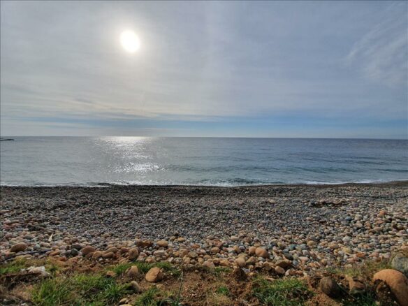 Land In Kassandra, Greece