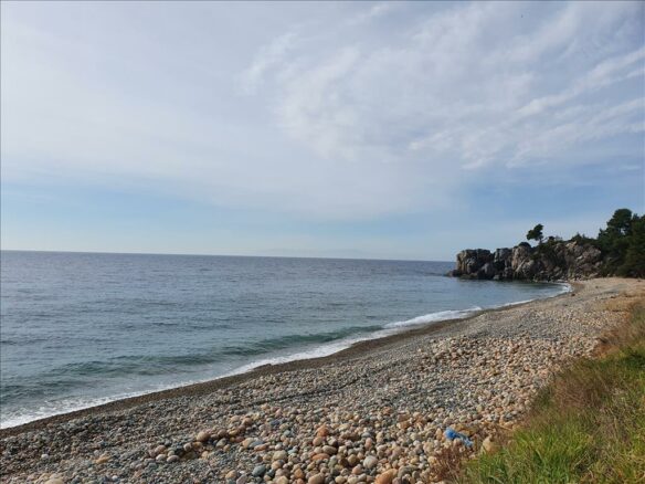 Land In Kassandra, Greece