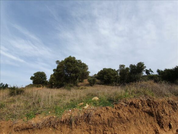 Land In Kassandra, Greece