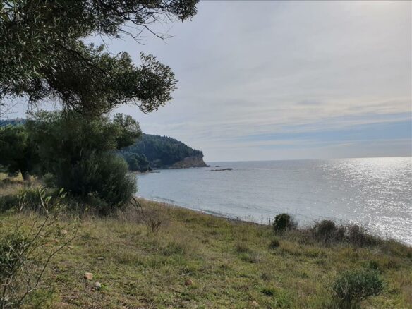 Land In Kassandra, Greece