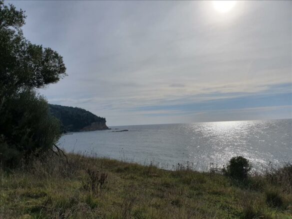 Land In Kassandra, Greece