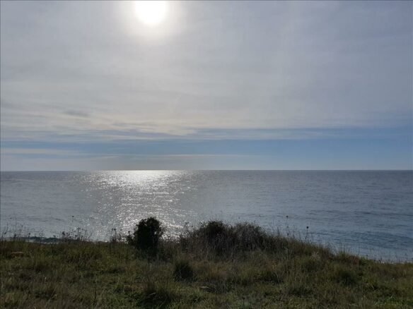 Land In Kassandra, Greece