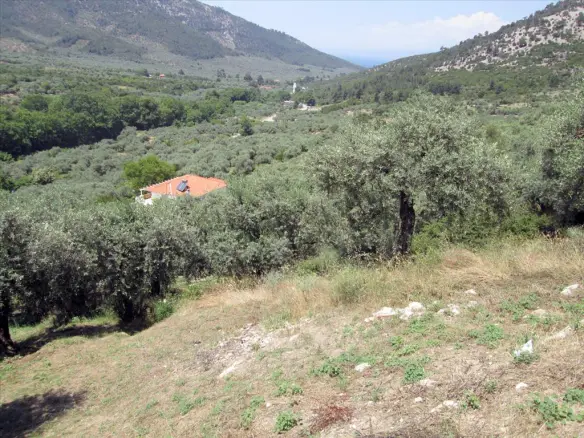 Land In Thasos, Greece