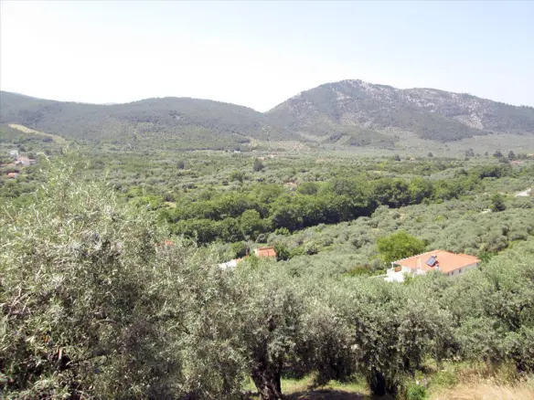 Land In Thasos, Greece