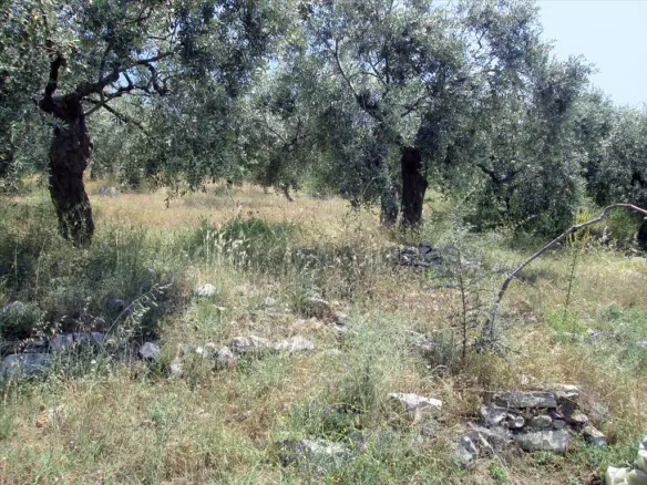 Land In Thasos, Greece