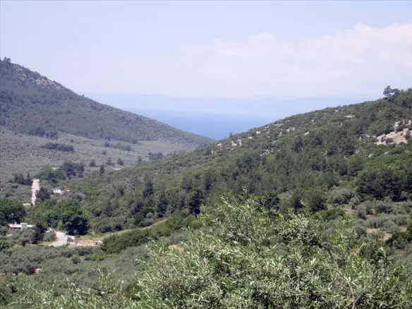 Land In Thasos, Greece