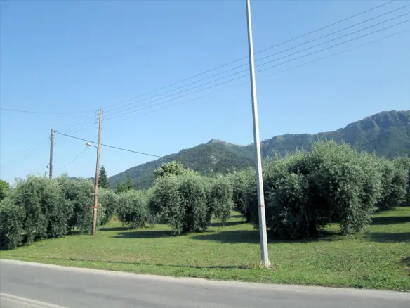 Land In Thasos, Greece