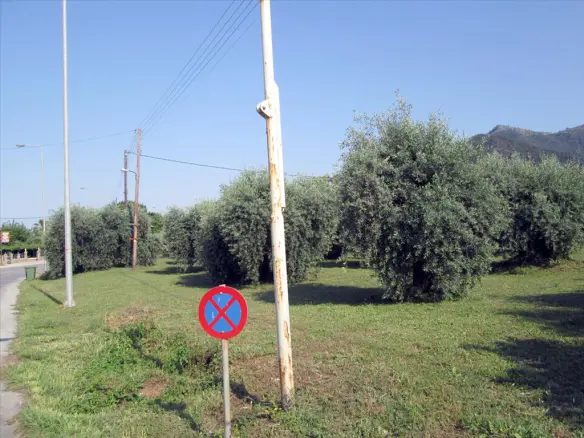 Land In Thasos, Greece