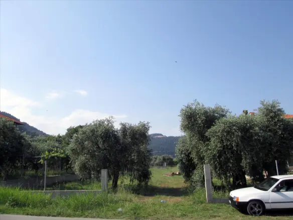 Land In Thasos, Greece