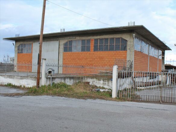 Business In Litochoro, Greece (1.000 M²)
