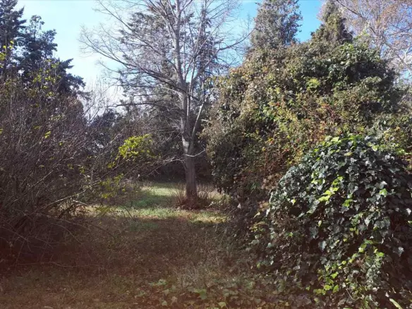 Land In Poligiros, Greece