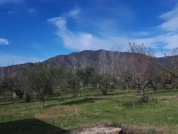 Land In Poligiros, Greece