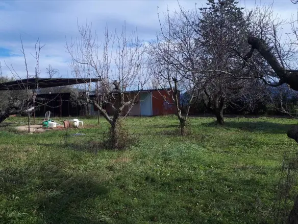 Land In Poligiros, Greece