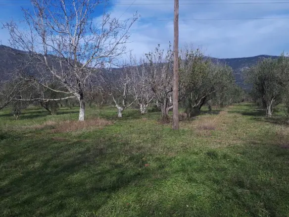 Land In Poligiros, Greece