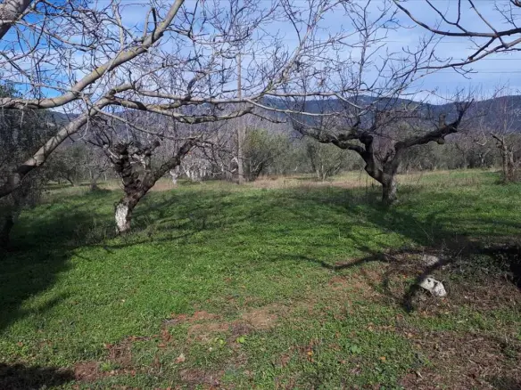 Land In Poligiros, Greece