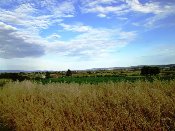 Land In Kassandra, Greece (8.500 M²)
