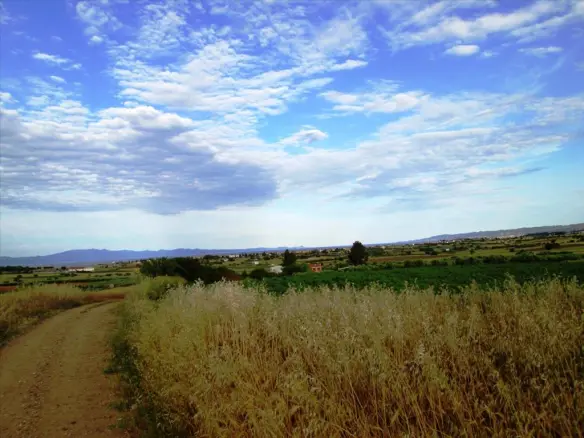 Land In Kassandra, Greece (8.500 M²)