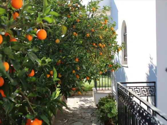 4-bedroom Detached House In Loutraki-perachora, Greece (160 M²)