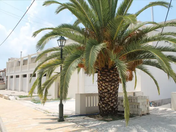Business In Corfu, Greece (1.545 M²)