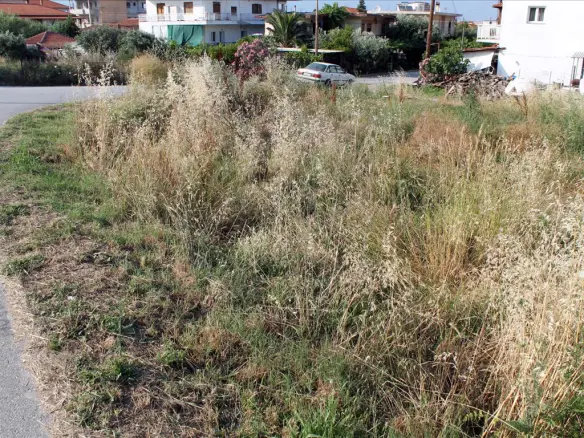 Land In Aristotle, Greece (700 M²)
