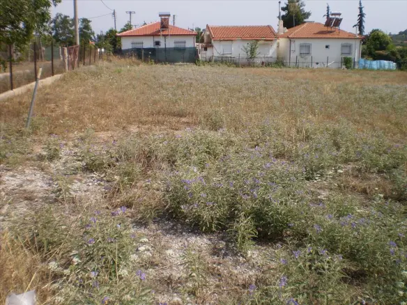 Land In Nea Propontida, Greece (1.691 M²)