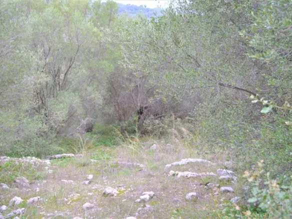 Land In Corfu, Greece