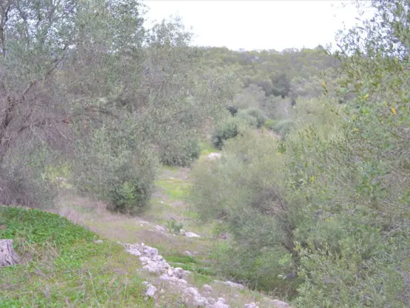 Land In Corfu, Greece