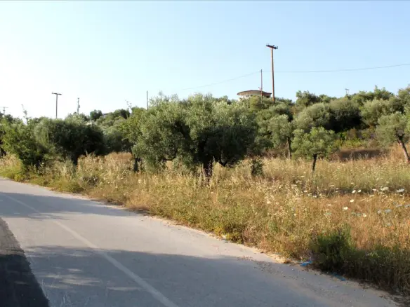 Land In Sithonia, Greece